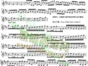 探索卡农i906的功能与性能（一款引人入胜的多功能智能手机）
