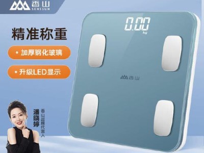 脂肪秤（科技进步下的便捷测量和分析，助您掌握身体状况变化）