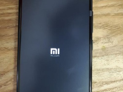 小米4X照像表现如何？（揭秘小米4X相机的拍摄能力）