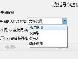 老桃毛U盘教程（轻松管理和扩展你的存储空间，老桃毛U盘助你一臂之力）