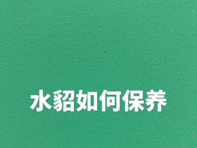 如何保养和存放您的貂皮大衣（精心呵护，让貂皮大衣永保光彩）