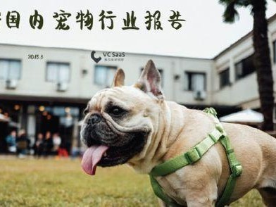 以拓瑞检测效果如何？（拓瑞检测在产品质量控制中的应用和优势分析）