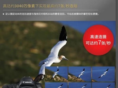 探索单反5D的优势与魅力（一款引领摄影界的先进相机与创作工具）