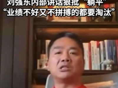 刘强东（见证创新与奋斗，探索刘强东的商业智慧）