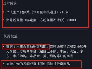 如何在抖音中设置备注？（教你轻松管理好友名单）