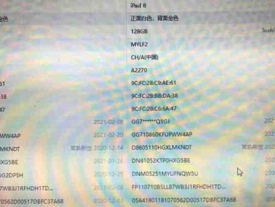 如何延长苹果平板的激活时间（优化使用方法，让苹果平板更耐用）