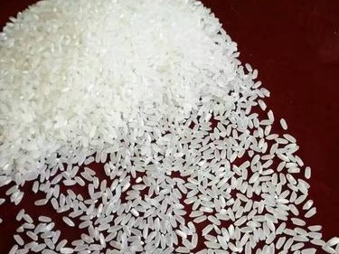 米图R5手机的全面评测（性能出众，拍照强悍，体验无与伦比）