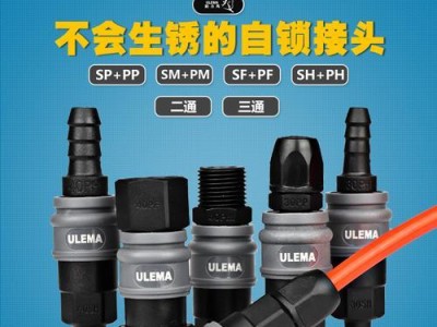 插PP不疼的小技巧（轻松应对疼痛问题，让插PP过程更舒适）