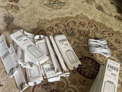 探究plsen充电器的优势与劣势（高效快充，但耐久性存疑）