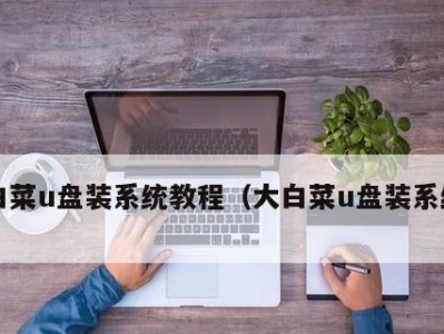《大白菜系统教程》（学会用大白菜做系统，轻松打造高效生活）
