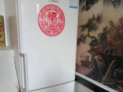 纽曼冰箱的优势和特点（深度解析纽曼冰箱的性能与功能，为您带来更好的冷藏体验）