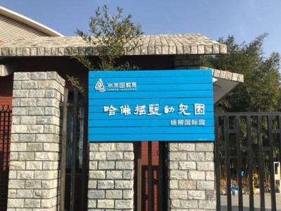 哈弗国际（为学生提供全方位的国际教育培训）