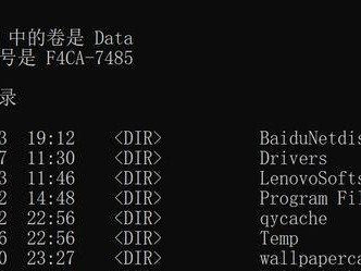 常用DOS命令大全及详解（让你轻松掌握DOS命令的使用技巧）