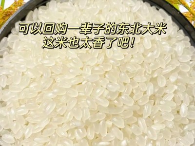 珍珠米手机质量详细评测（以实际用户反馈为依据，了解珍珠米手机的质量表现）