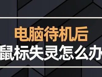 解决无线鼠标右键不灵敏的问题（快速排除故障，使右键恢复正常）