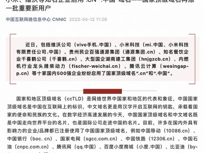 探讨以com.cn域名为主的网站建设优势与挑战（com.cn域名的发展历程及未来前景展望）
