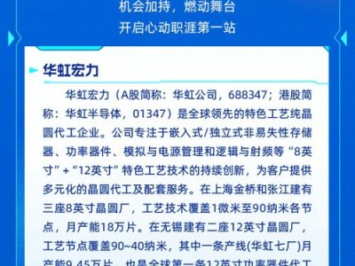 华虹宏力半导体（探索华虹宏力半导体的成就和挑战）