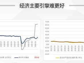以牛策略（牛市中牛股频现，投资者不容错过）