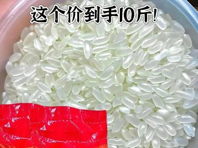 珍珠米手机质量评测（探究珍珠米手机的品质和可靠性）