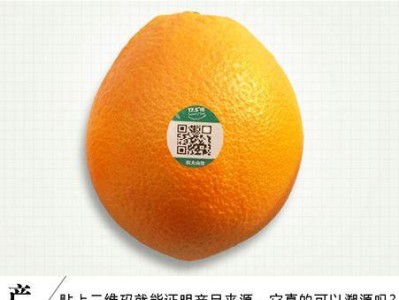 褚橙柚子品质如何？（挑选新鲜柚子的关键和口感体验）