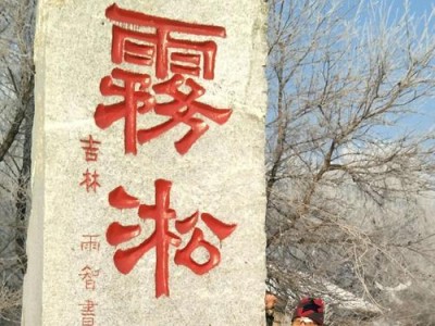 以智吉手机如何满足现代人的需求（一款能够提供全方位智能体验的手机品牌）