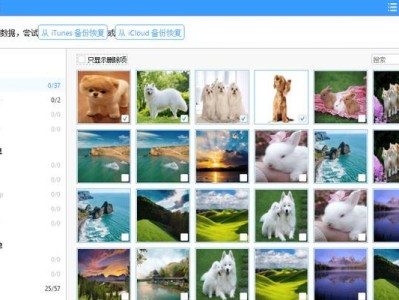 如何找回被删除的短信（有效方法教您快速找回丢失的短信）