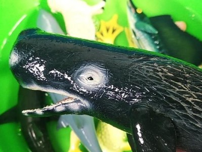 旗鱼浏览器（速度快、安全稳定、功能丰富，旗鱼浏览器助您畅游互联网）