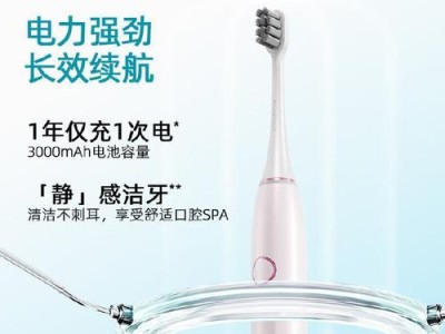 罗曼锂电池（高能量密度、长寿命、环保可靠的下一代电池技术）